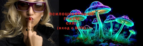 марки nbome Дмитриев