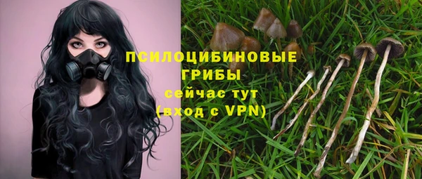 марки nbome Дмитриев