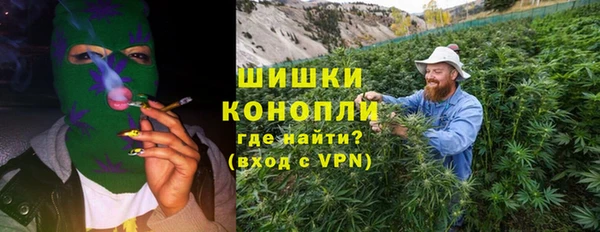 СК Дмитров