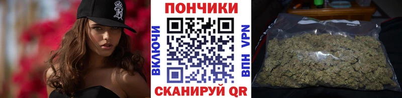 Каннабис гибрид  Малгобек 